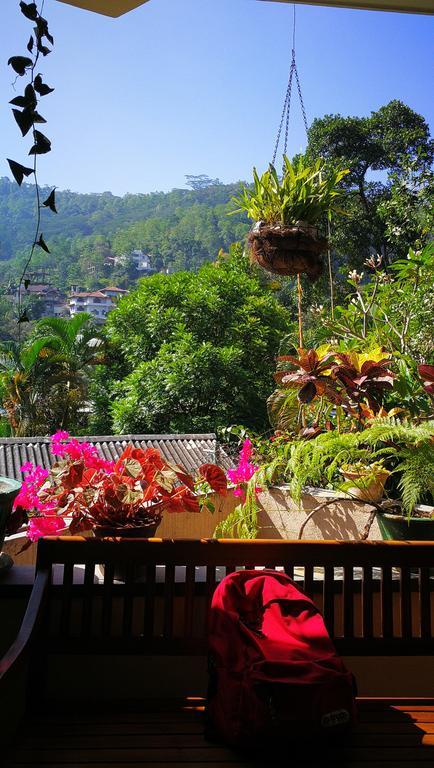 Villa 49 Kandy Extérieur photo